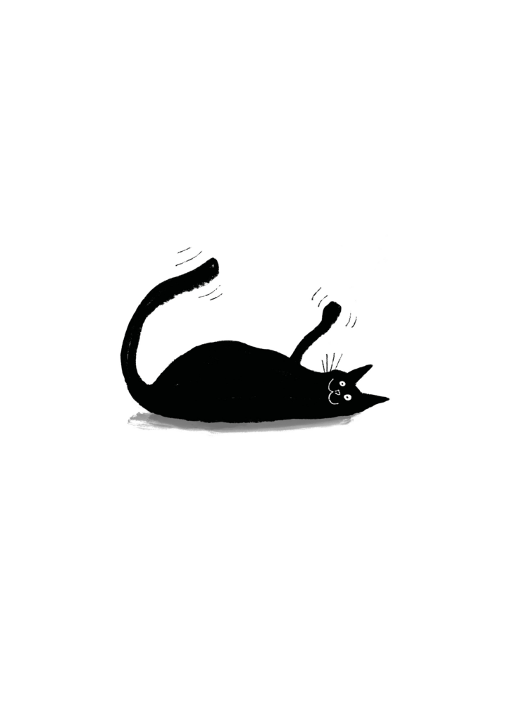 SLEEPY CAT 4