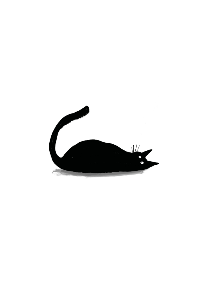 SLEEPY CAT 3