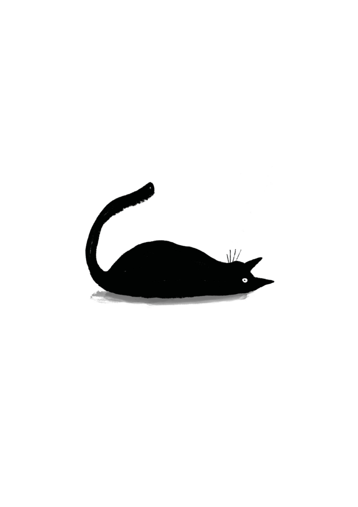 SLEEPY CAT 2