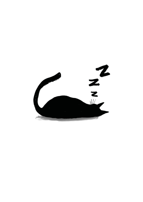 SLEEPY CAT 1