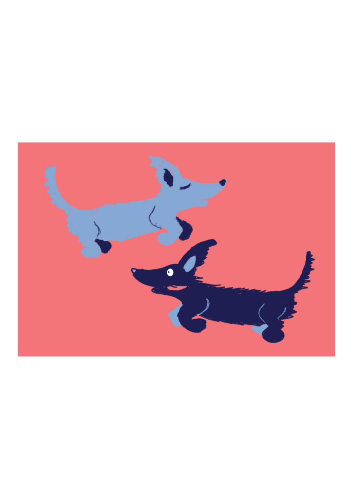 HUNDE